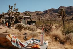 Shelter 1 by Homestead Modern - Image 3