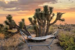 Desert Diamond by Homestead Modern - Image 3