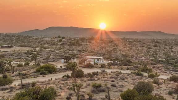 Desert Diamond by Homestead Modern - Image 4