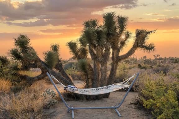 Desert Diamond by Homestead Modern - Image 3