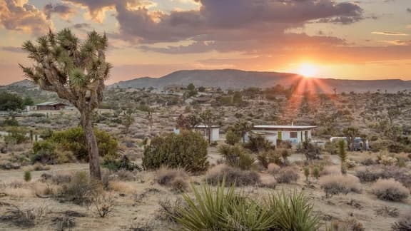 Desert Diamond by Homestead Modern - Image 1